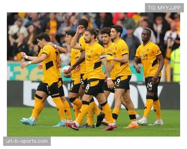 水晶宫0-0闷平狼队，全场双方共完成41次传中仅9次找到队友