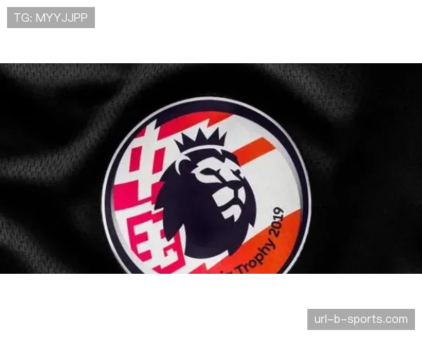 官方：本周末英超所有比赛将为慈善机构佩戴特定臂章